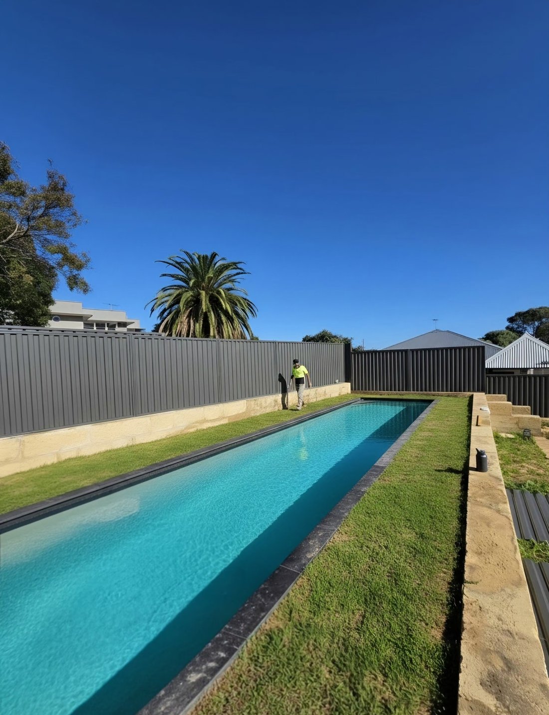 Dark grey Colorbond boundary fence alongside a lap pool and lawn, with a palm tree behind, Floreat WA